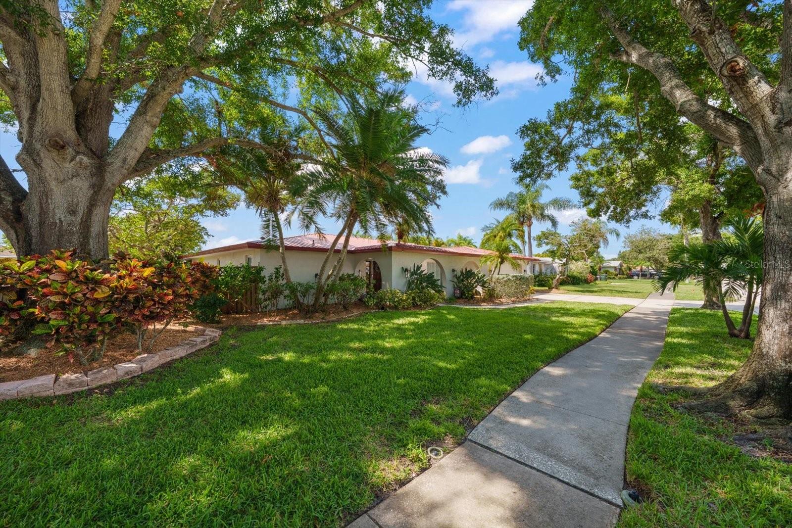 2126 EGRET DR, CLEARWATER, FL — photo 4