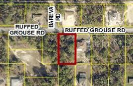 13364 RUFFED GROUSE RD, WEEKI WACHEE, FL