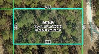 15483 MAN O WAR RD, BROOKSVILLE, FL — photo 2