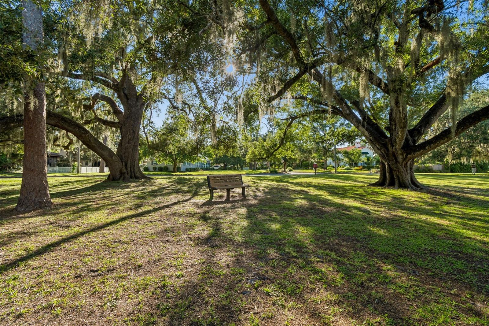 302 DEER PARK AVE, TAMPA, FL — photo 45