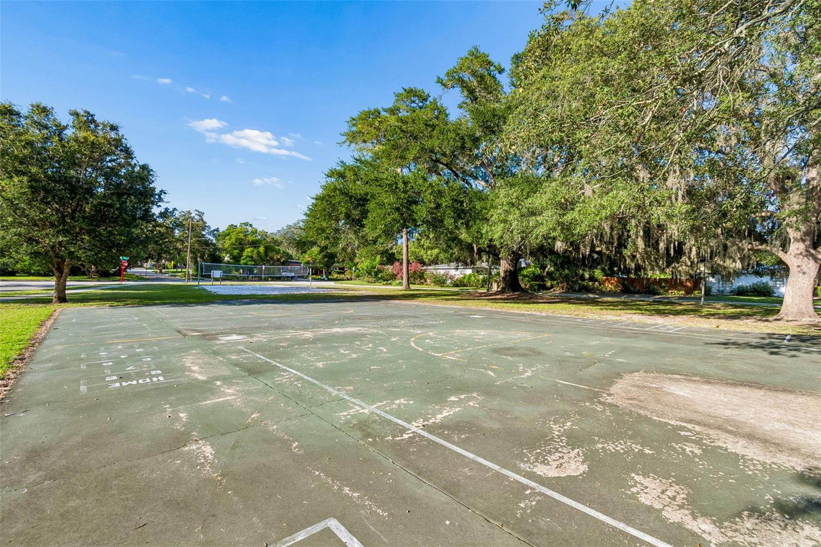302 DEER PARK AVE, TAMPA, FL — photo 51