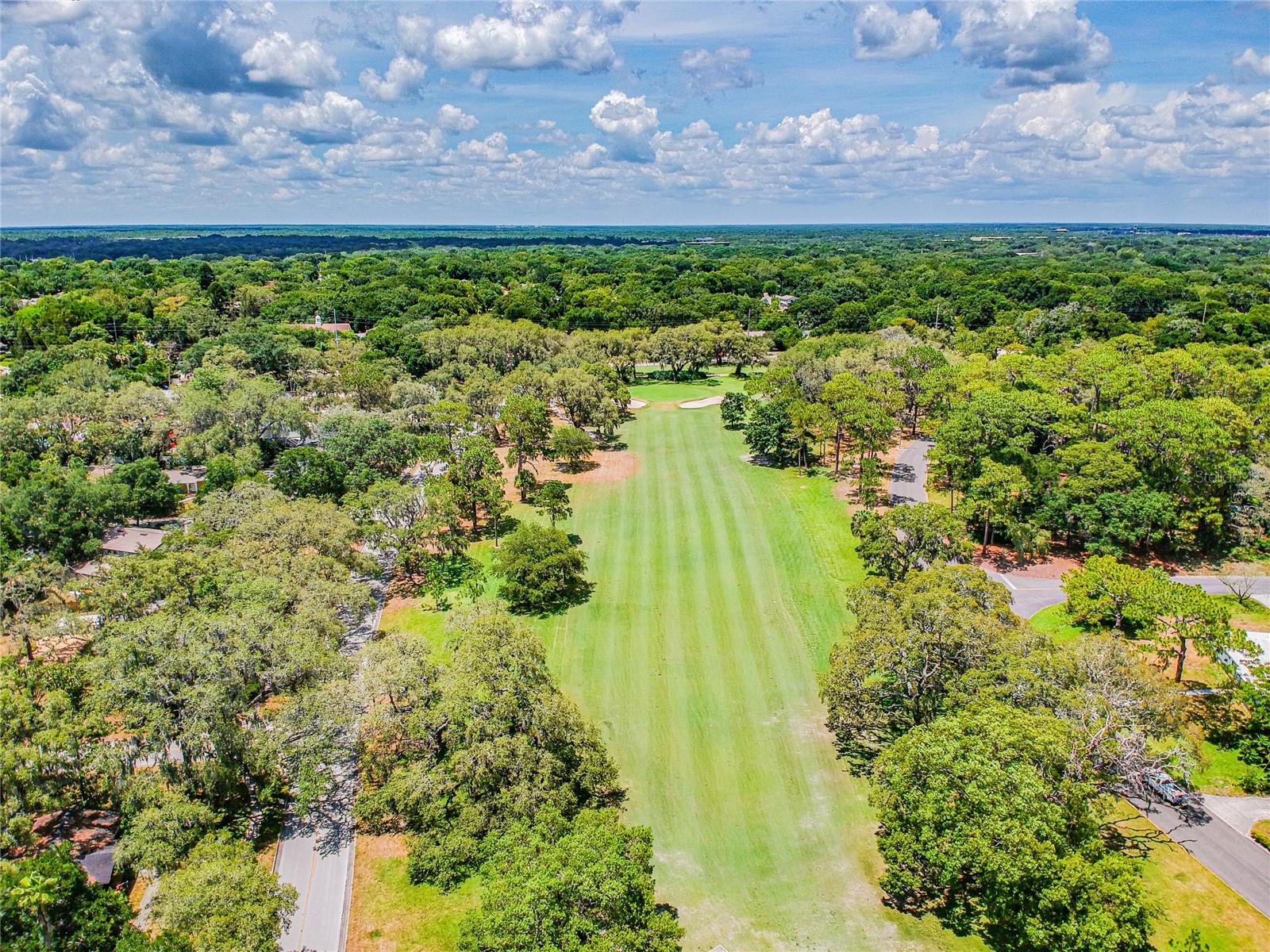 302 DEER PARK AVE, TAMPA, FL — photo 64