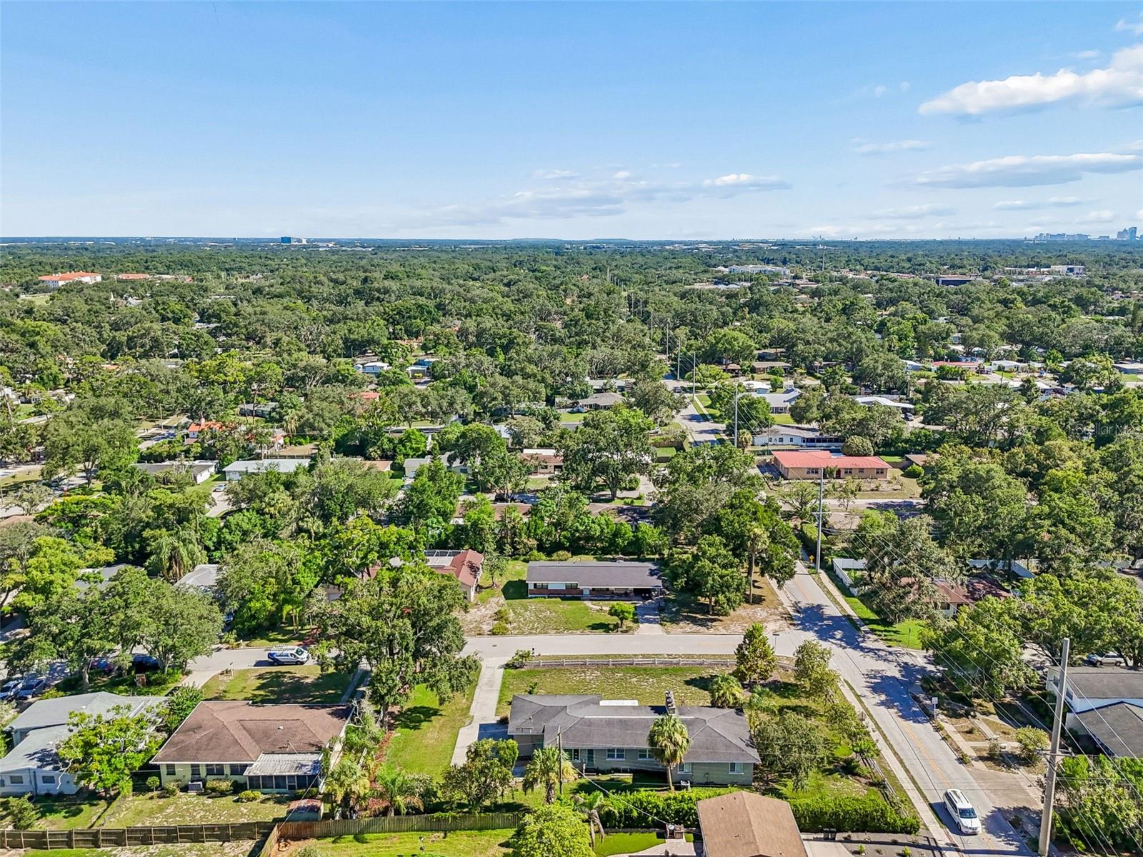302 DEER PARK AVE, TAMPA, FL — photo 70