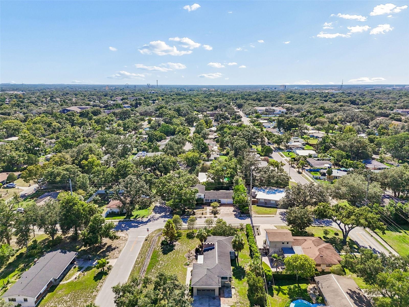 302 DEER PARK AVE, TAMPA, FL — photo 71