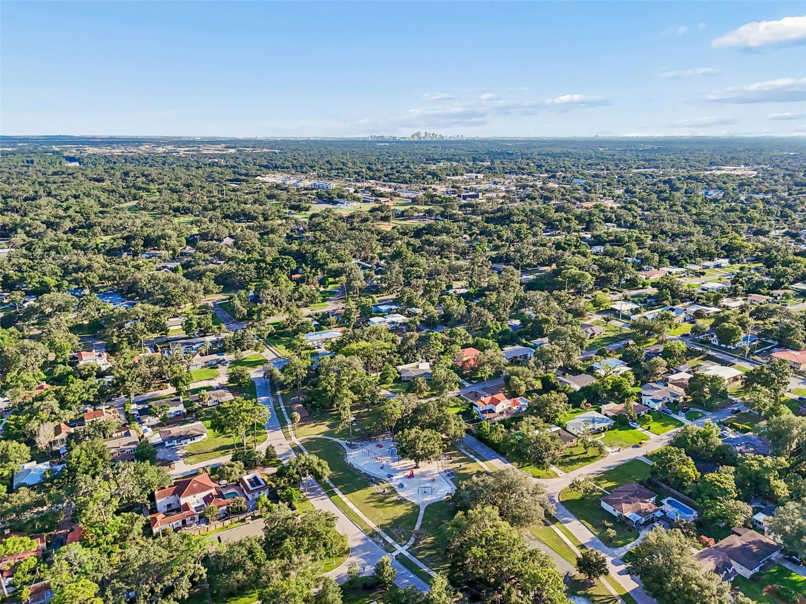 302 DEER PARK AVE, TAMPA, FL — photo 73