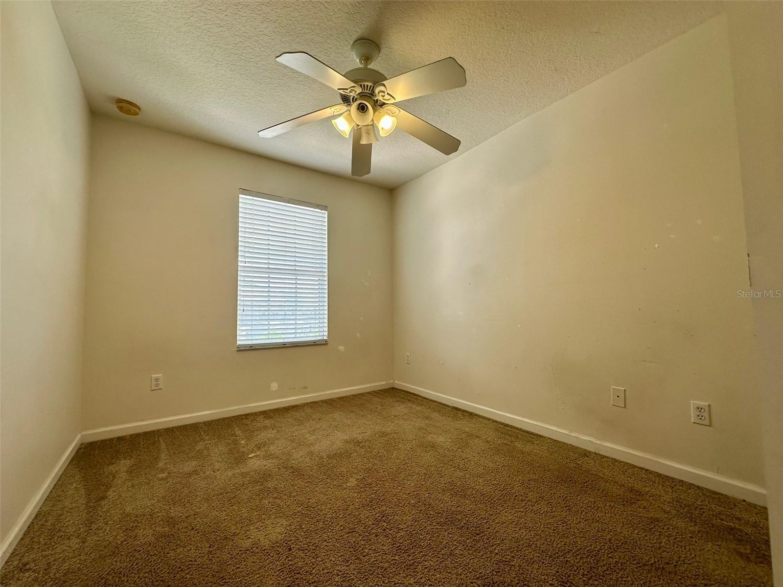 3880 WHITE BIRCH RUN, WINTER SPRINGS, FL — photo 14
