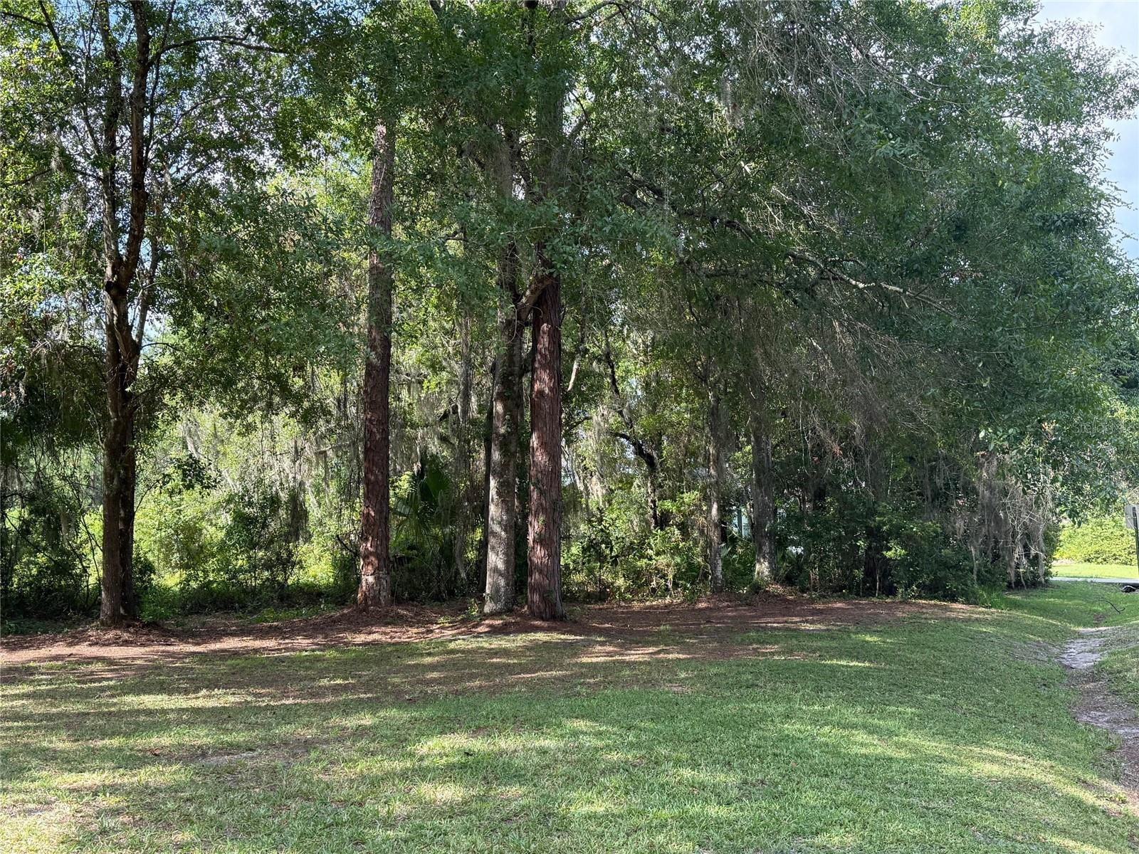 620 GLENDALE ST, STARKE, FL — photo 27