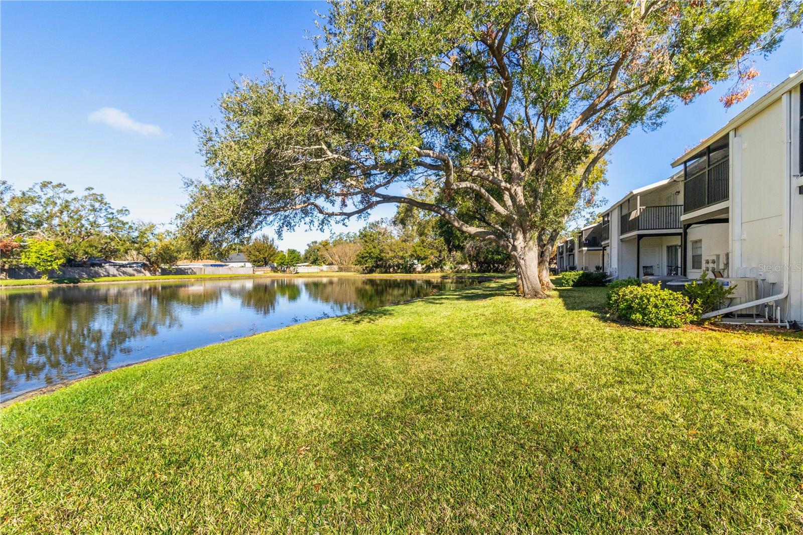 3823 N OAK DR #K22, TAMPA, FL — photo 28