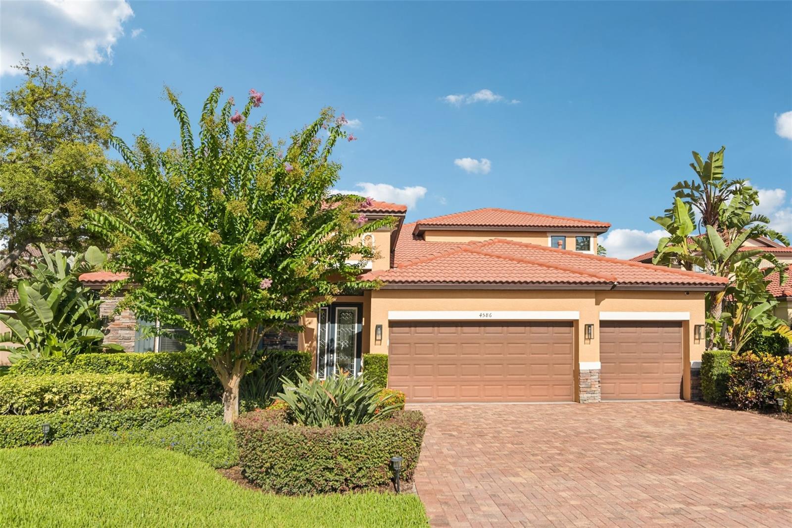 4586 GRAND LAKESIDE DR, PALM HARBOR, FL — photo 11