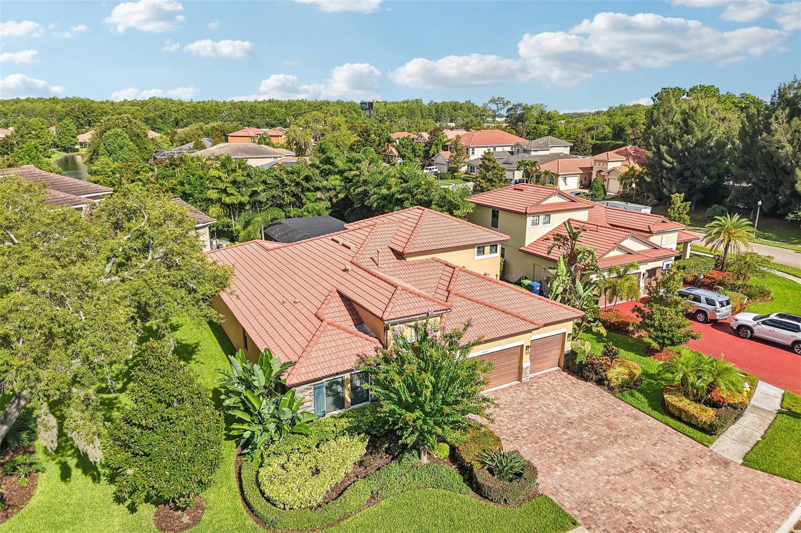 4586 GRAND LAKESIDE DR, PALM HARBOR, FL — photo 49