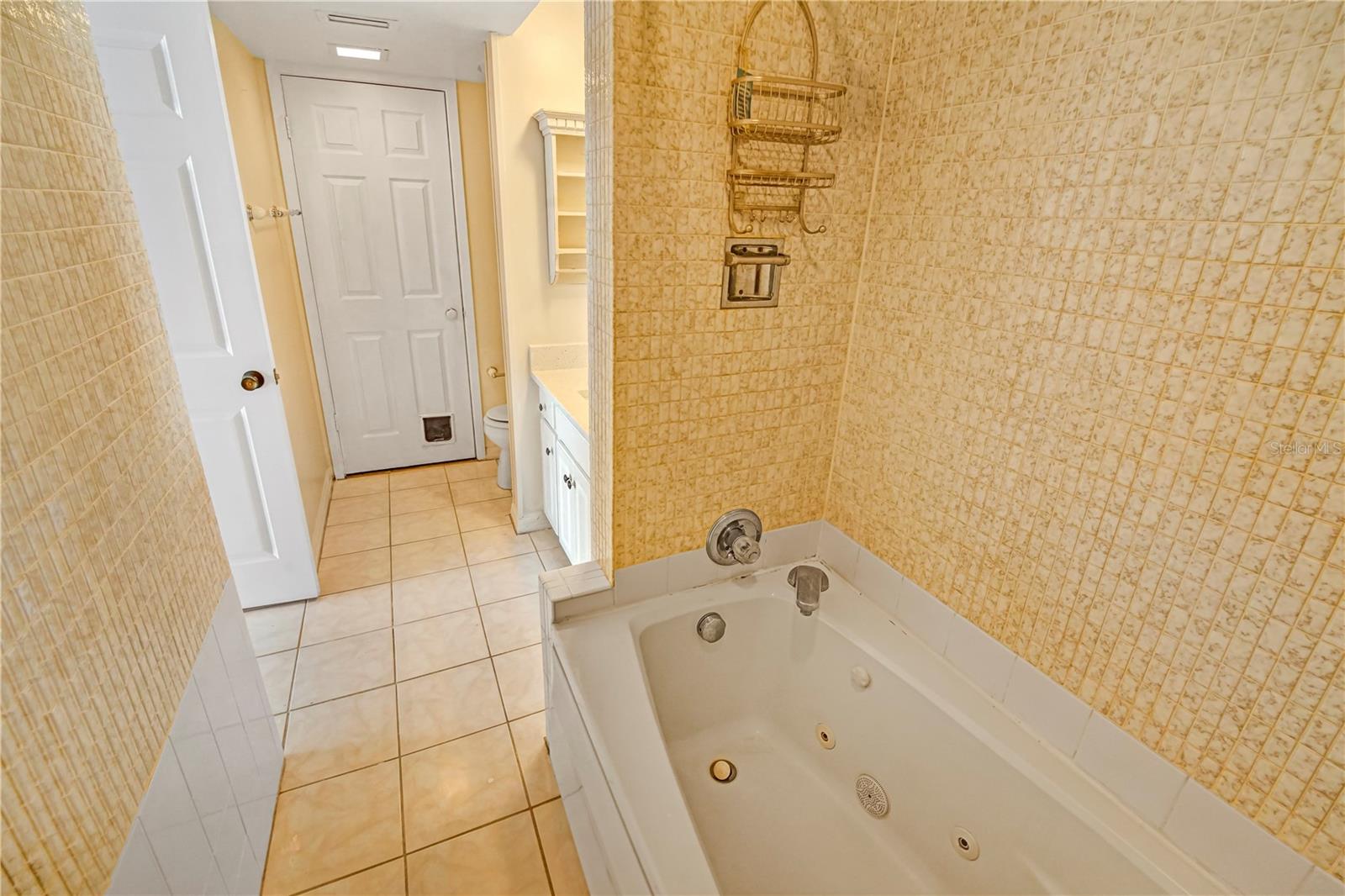 4141 BAYSHORE BLVD #602, TAMPA, FL — photo 21