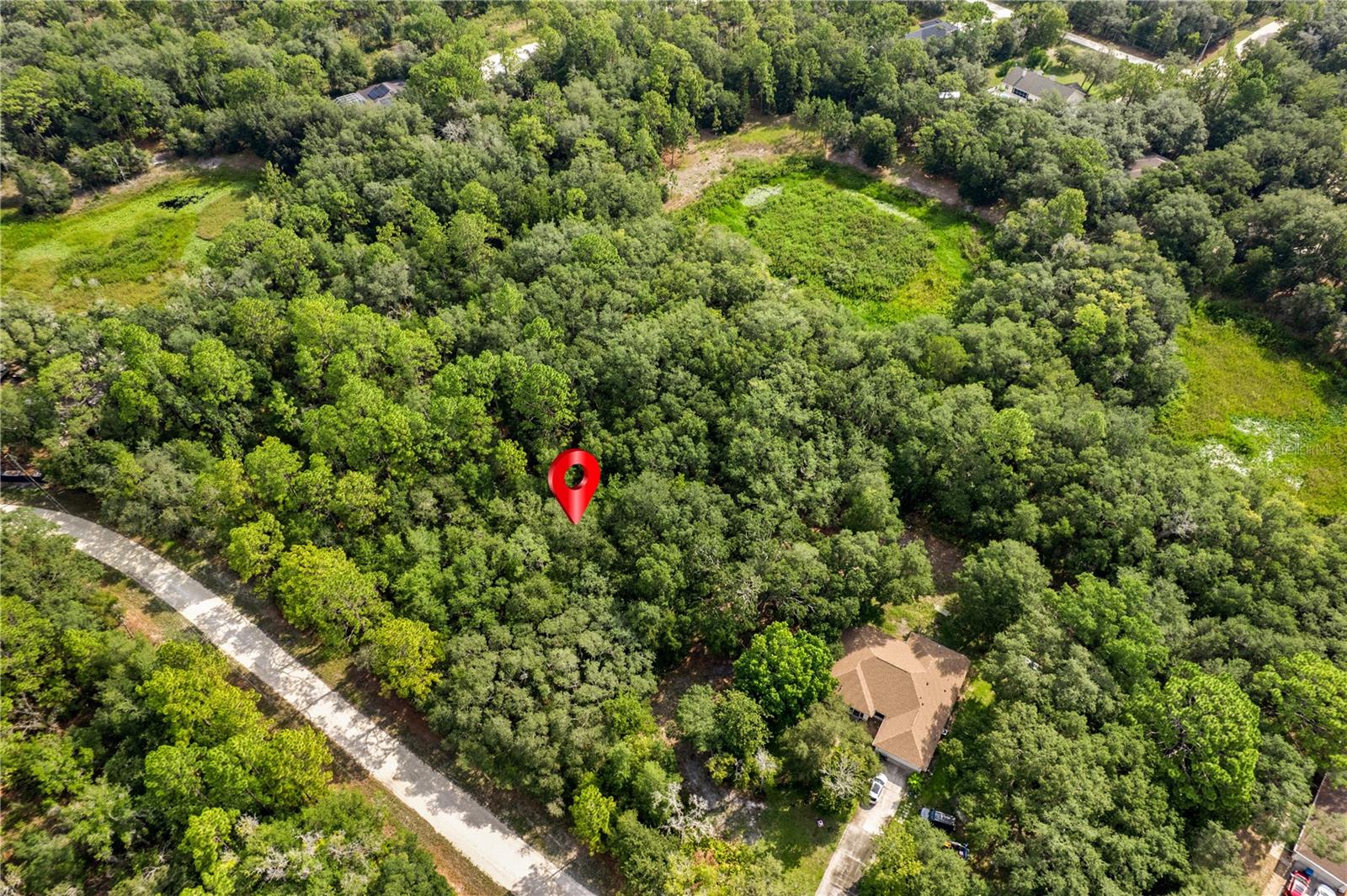 10497 YELLOWLEGS AVE, WEEKI WACHEE, FL — photo 7