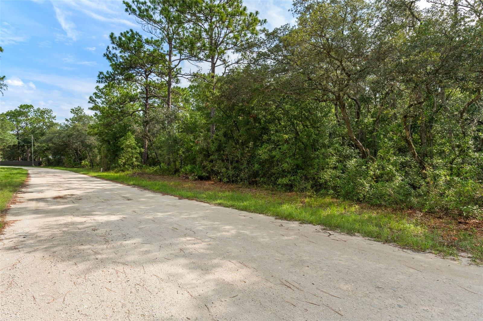 10497 YELLOWLEGS AVE, WEEKI WACHEE, FL — photo 9