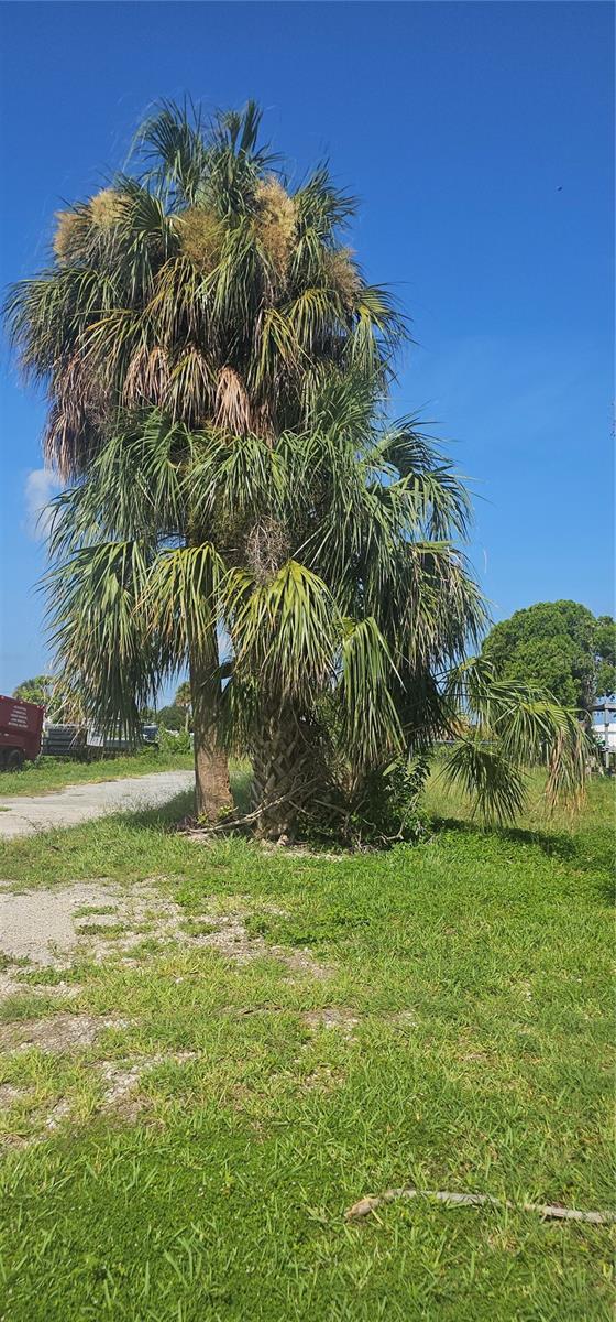 13113 KEEL CT, HUDSON, FL — photo 8