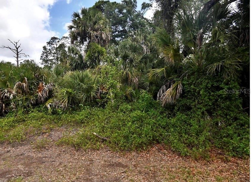 CRANDON RD, NORTH PORT, FL — photo 2