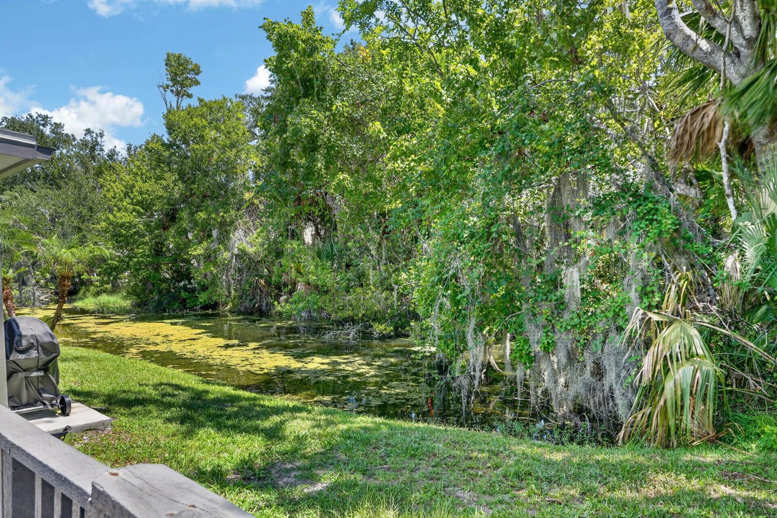 5 ARBOR LAKE PARK, ORMOND BEACH, FL — photo 24