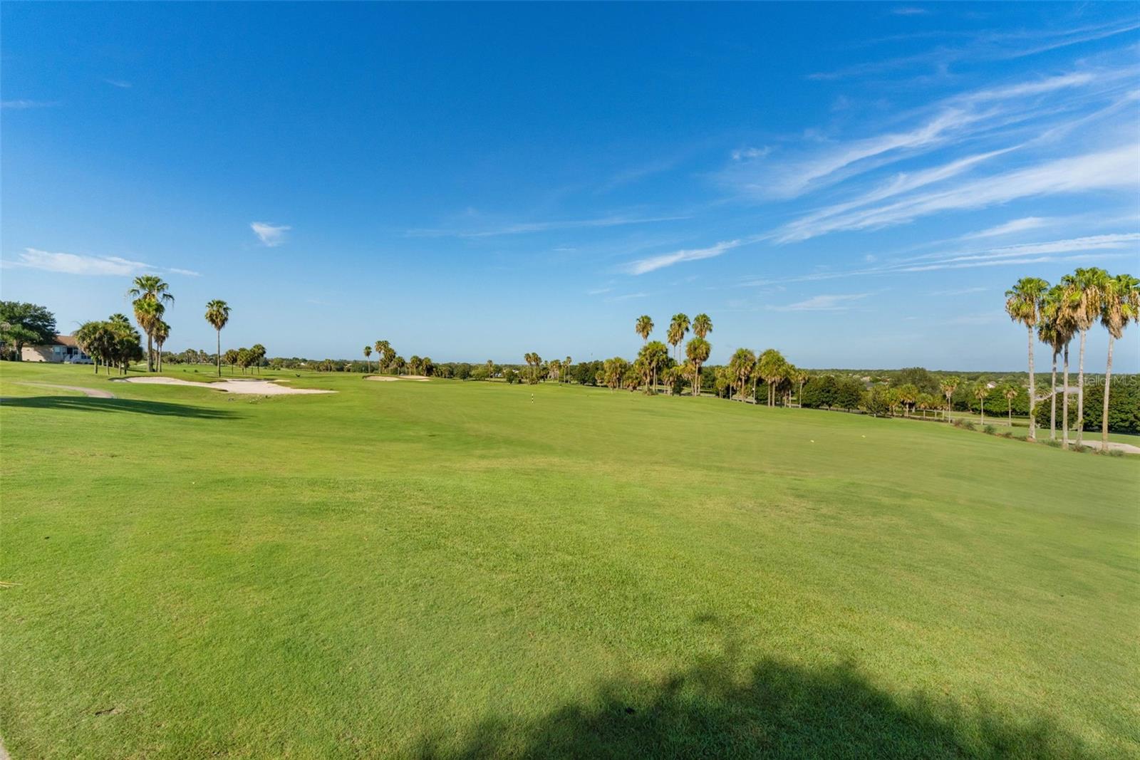 1654 MOUNT CROGHAN TRL, THE VILLAGES, FL — photo 45