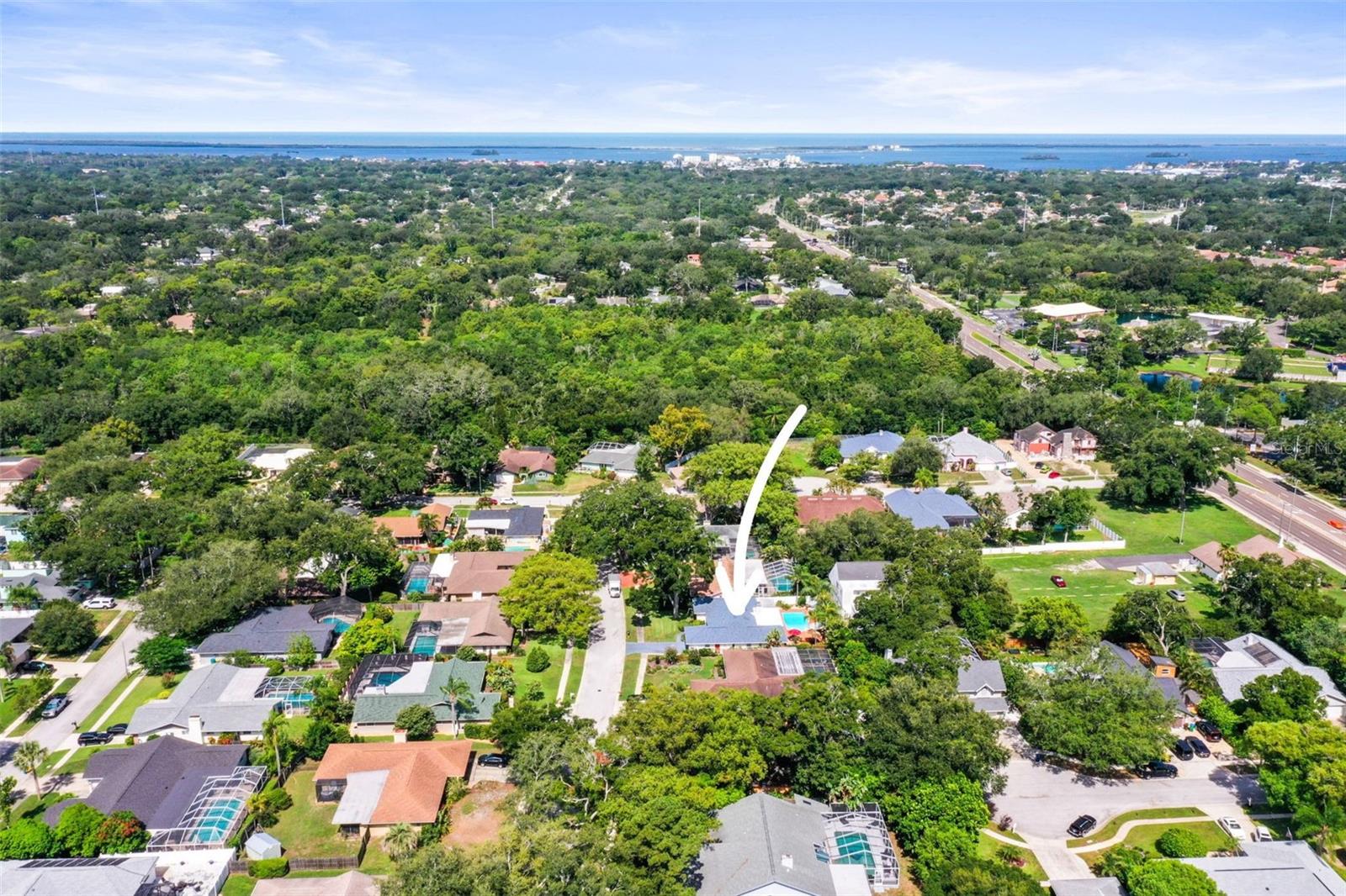 1981 CASTILLE DR, DUNEDIN, FL — photo 45