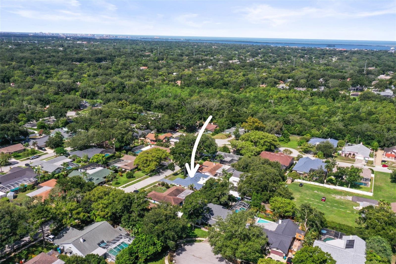 1981 CASTILLE DR, DUNEDIN, FL — photo 49
