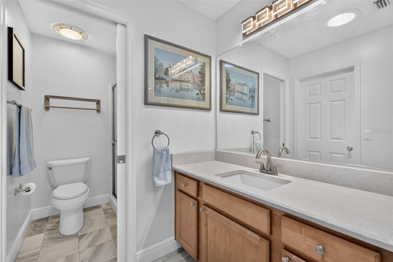 356 KATHERINE PL, THE VILLAGES, FL — photo 21