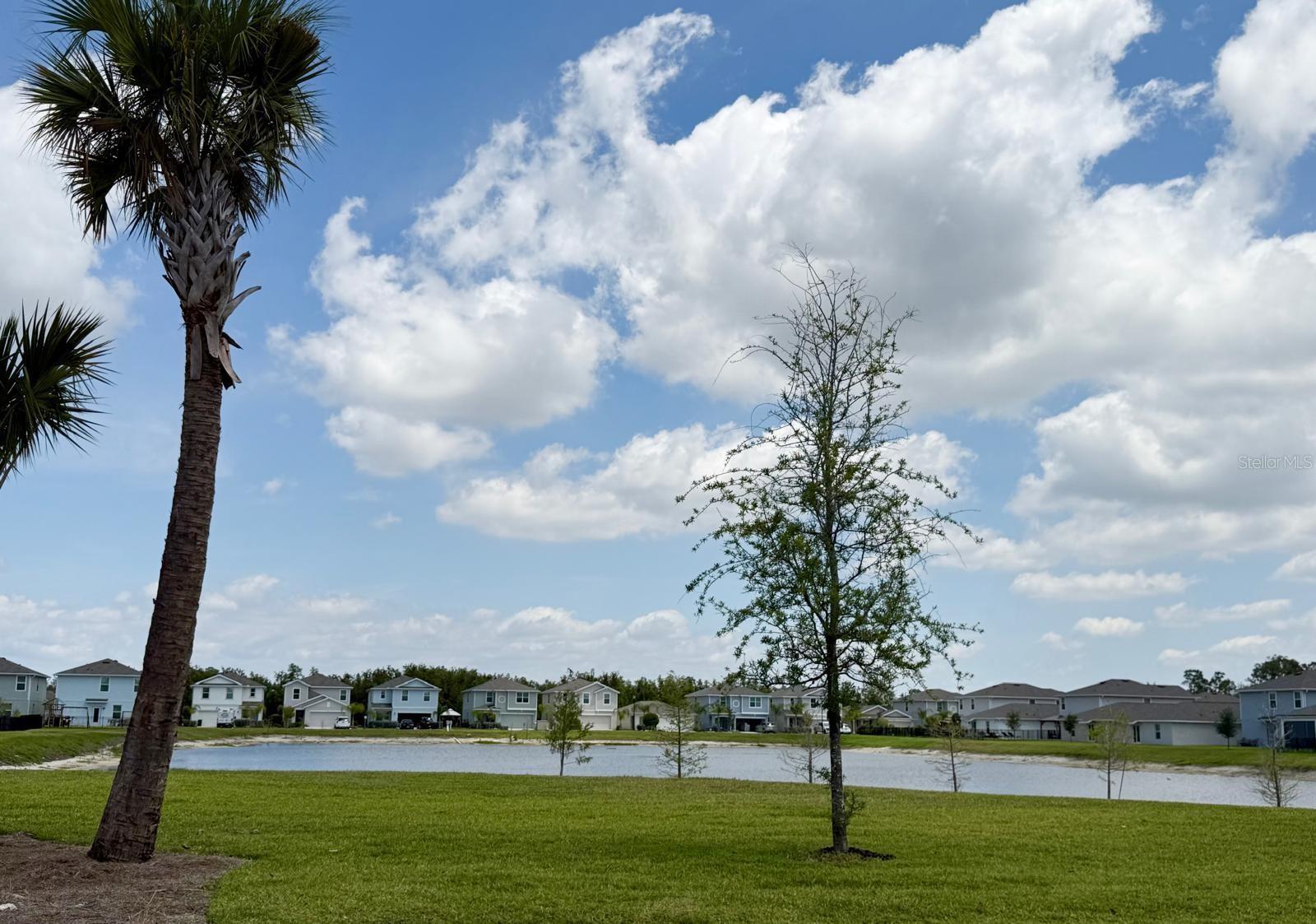 12119 SHORTLEAF PINE TRL, FORT MYERS, FL — photo 19