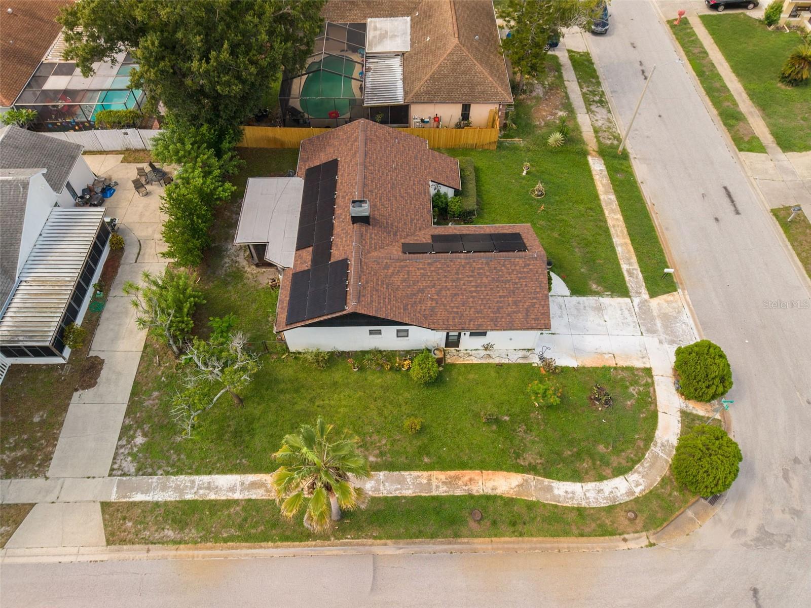 1338 GREENLEA DR, HOLIDAY, FL — photo 28