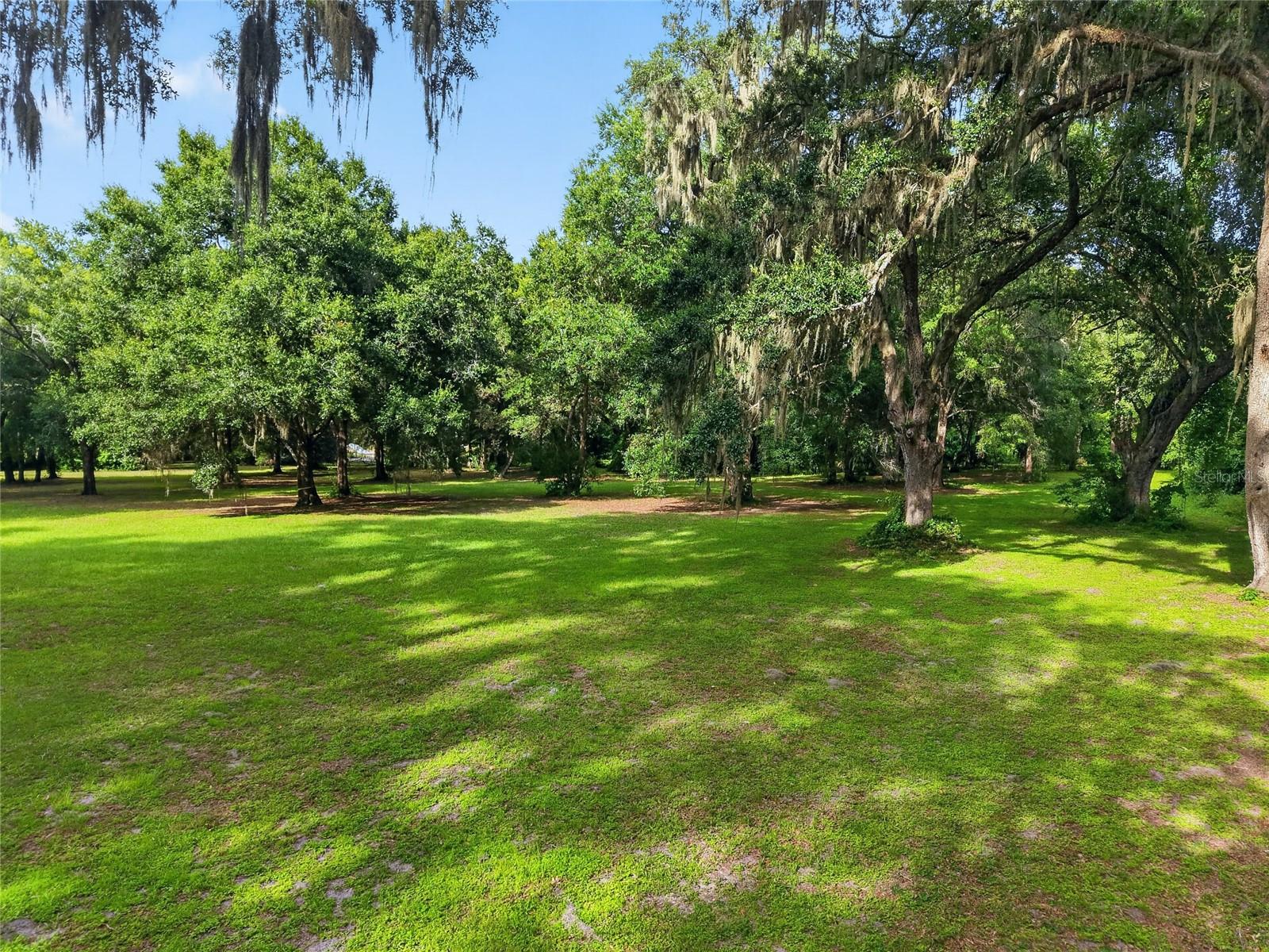 18741 N US HIGHWAY 301, CITRA, FL — photo 11
