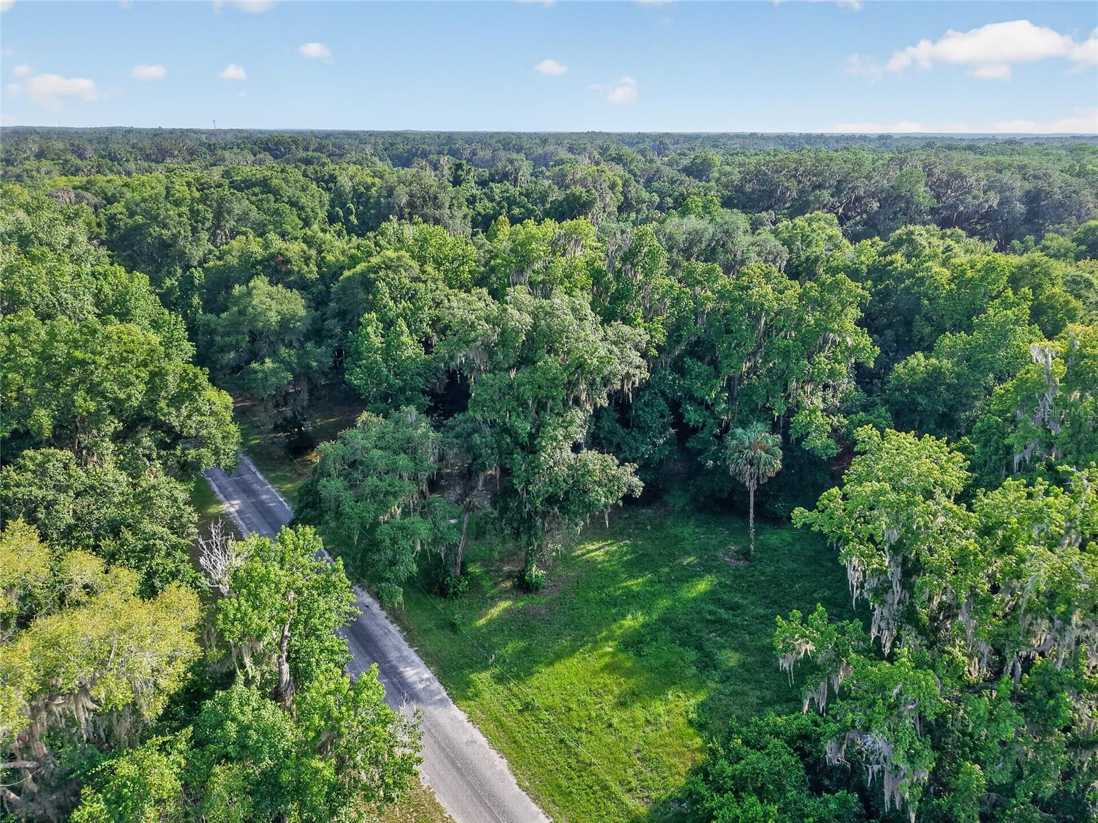 18741 N US HIGHWAY 301, CITRA, FL — photo 12