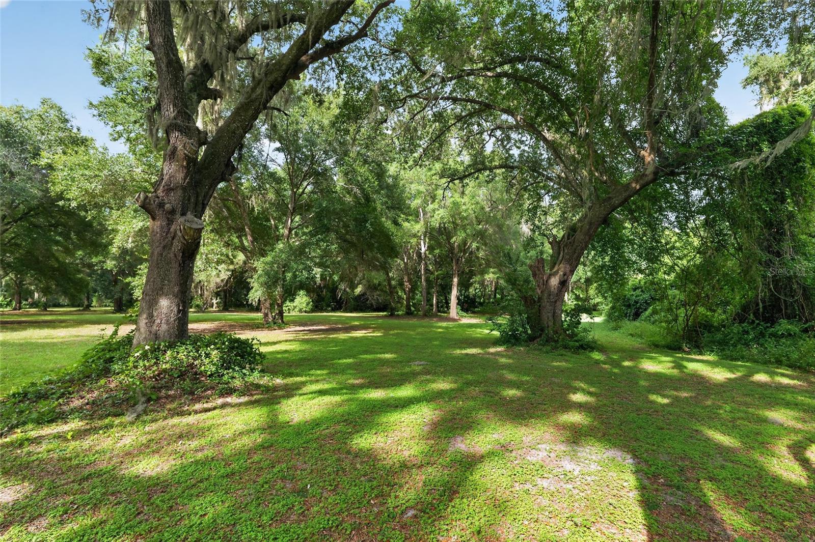 18741 N US HIGHWAY 301, CITRA, FL — photo 71