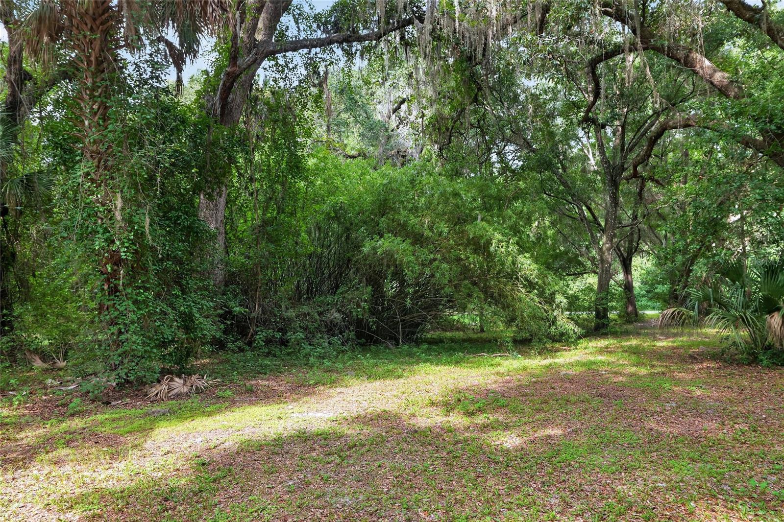 18741 N US HIGHWAY 301, CITRA, FL — photo 73