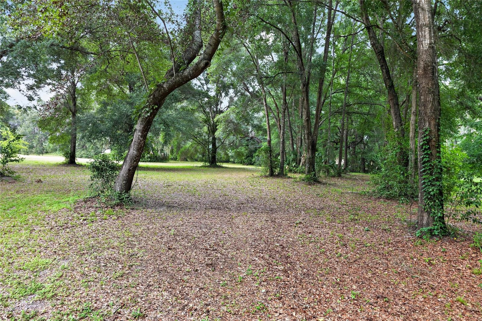 18741 N US HIGHWAY 301, CITRA, FL — photo 75