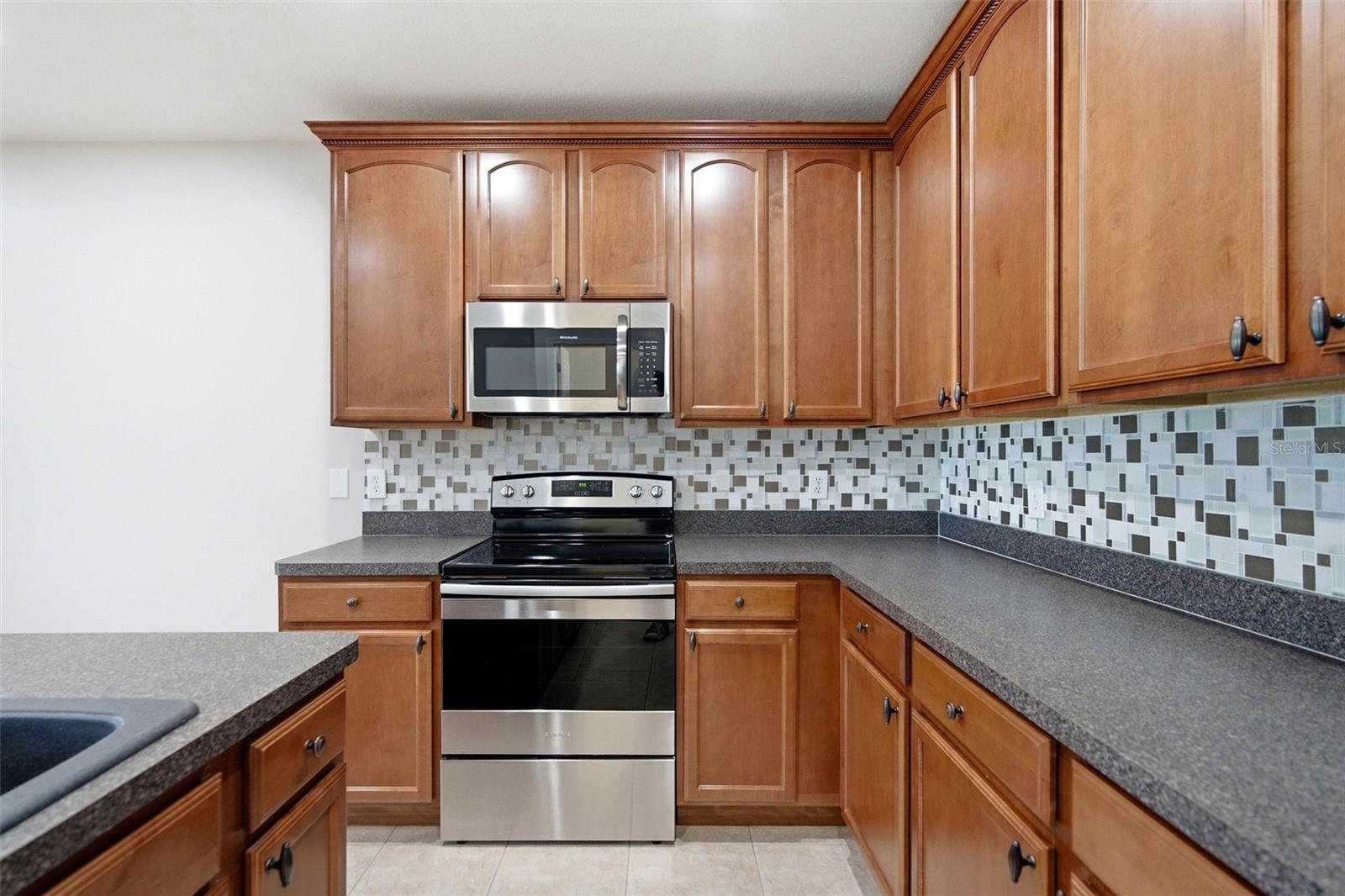 30149 GOODWICK WAY, WESLEY CHAPEL, FL — photo 5