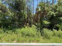 LOT 14 STATE ROAD 44 — photo 16