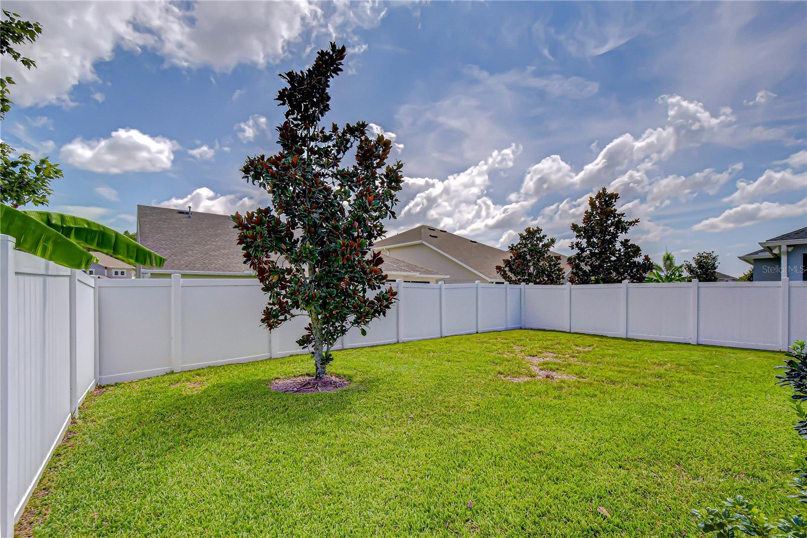 15371 CARAVAN AVE, ODESSA, FL — photo 39