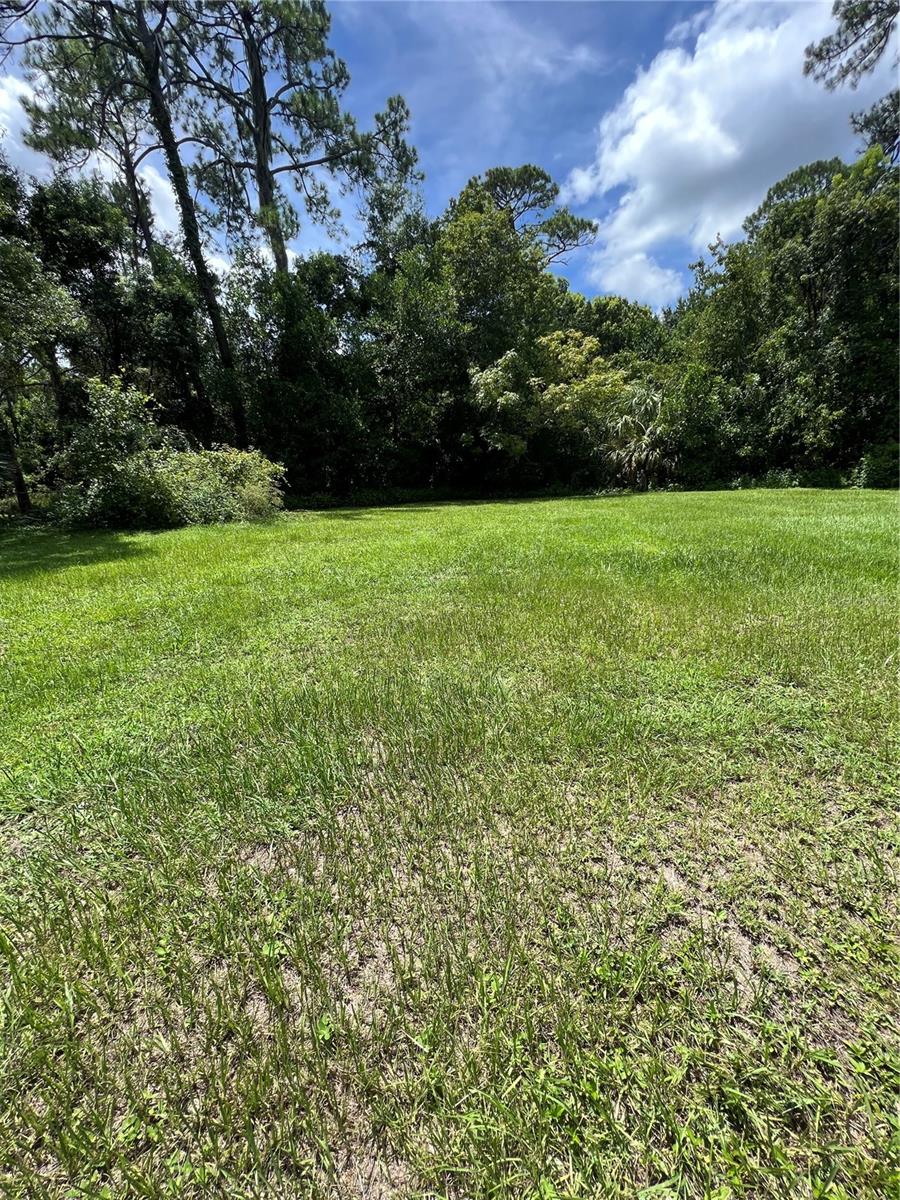 1292 HICKORY DR, LONGWOOD, FL — photo 4