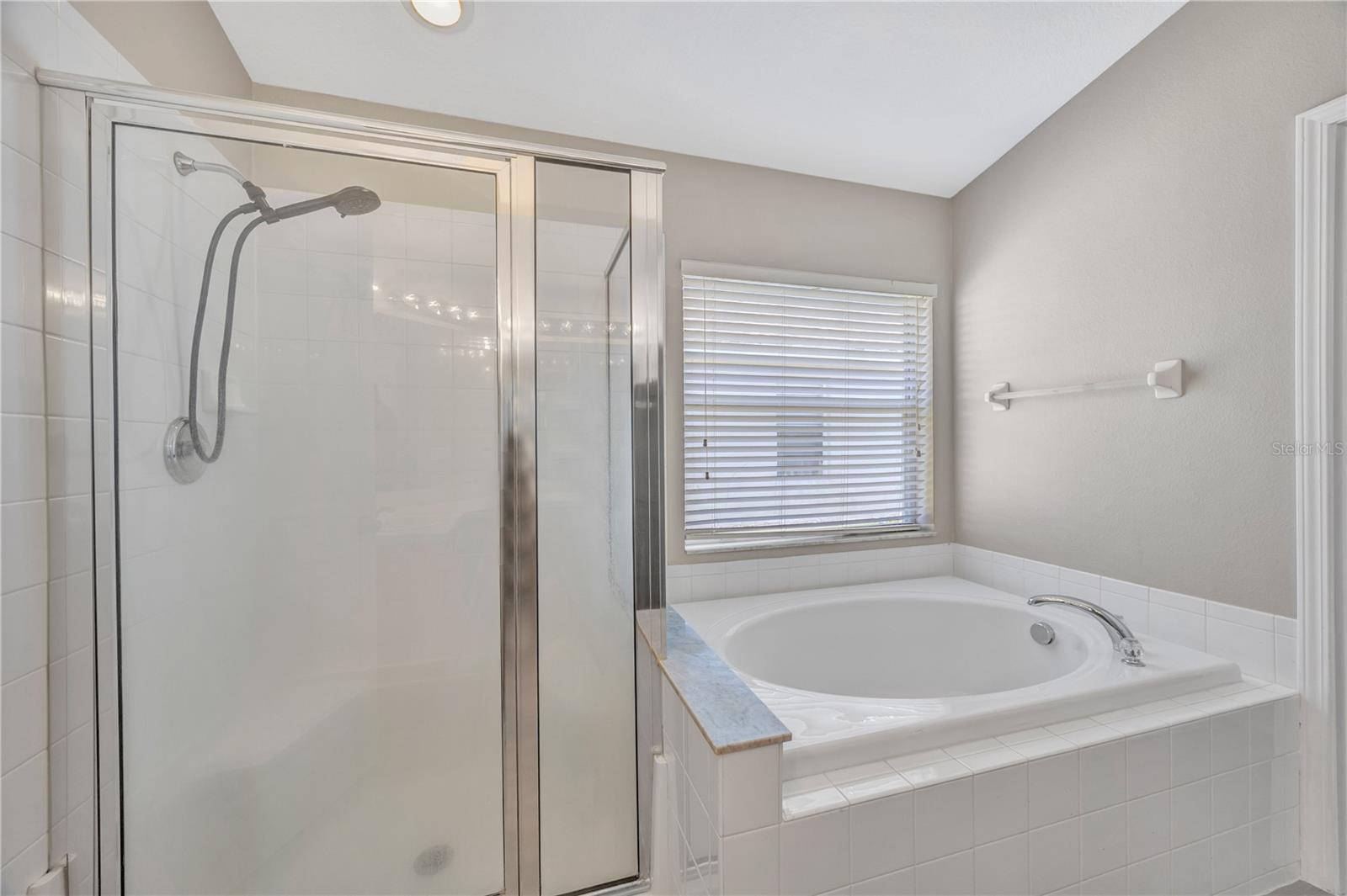 30435 ANNADALE DR, WESLEY CHAPEL, FL — photo 42