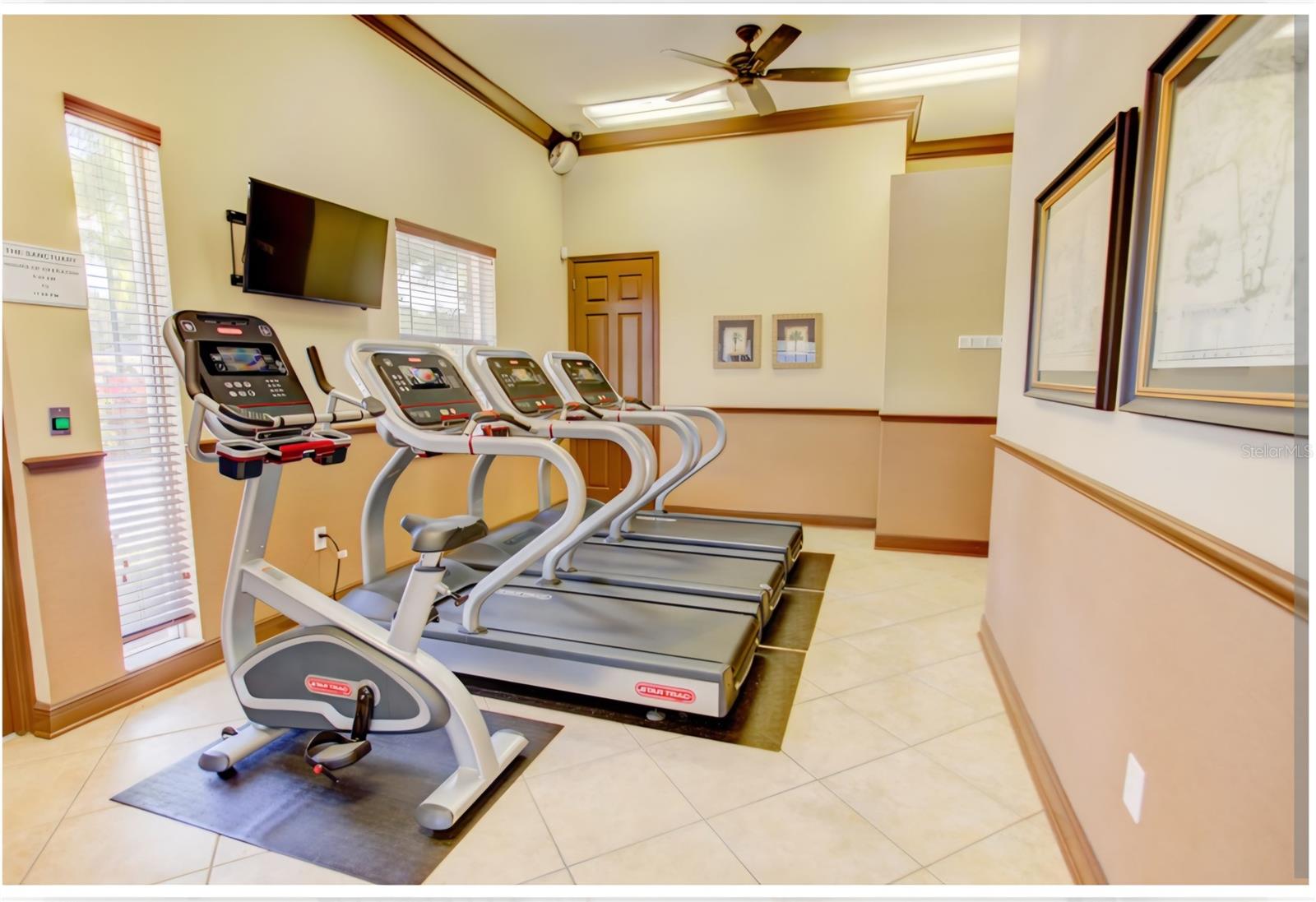 3692 HEIRLOOM ROSE PL, OVIEDO, FL — photo 44