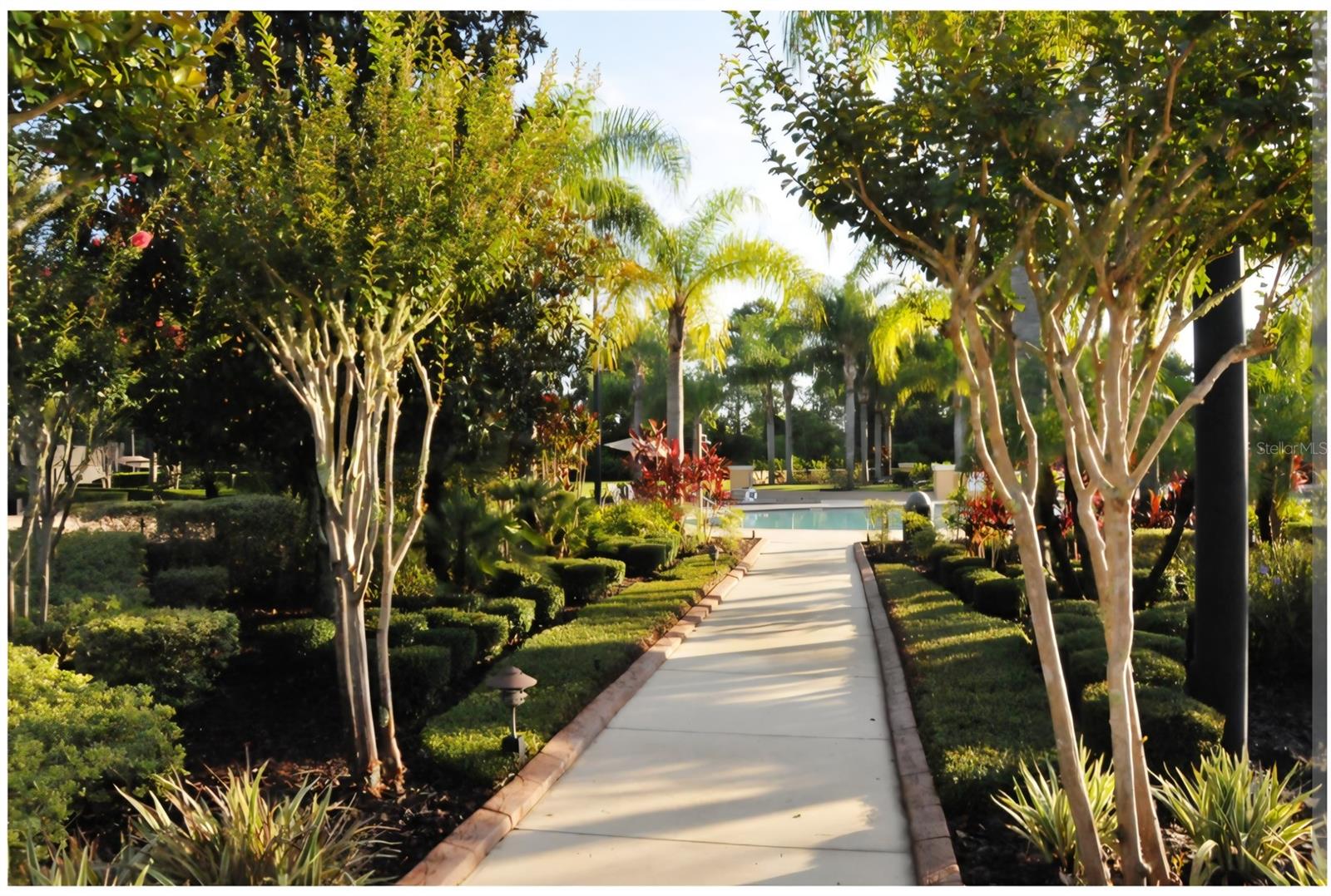 3692 HEIRLOOM ROSE PL, OVIEDO, FL — photo 48