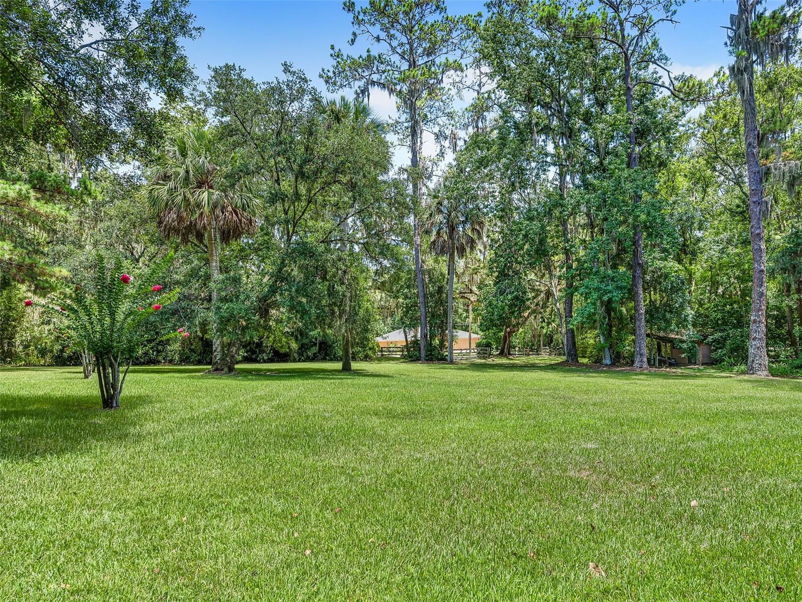4200 SW 7TH AVE RD, OCALA, FL — photo 54