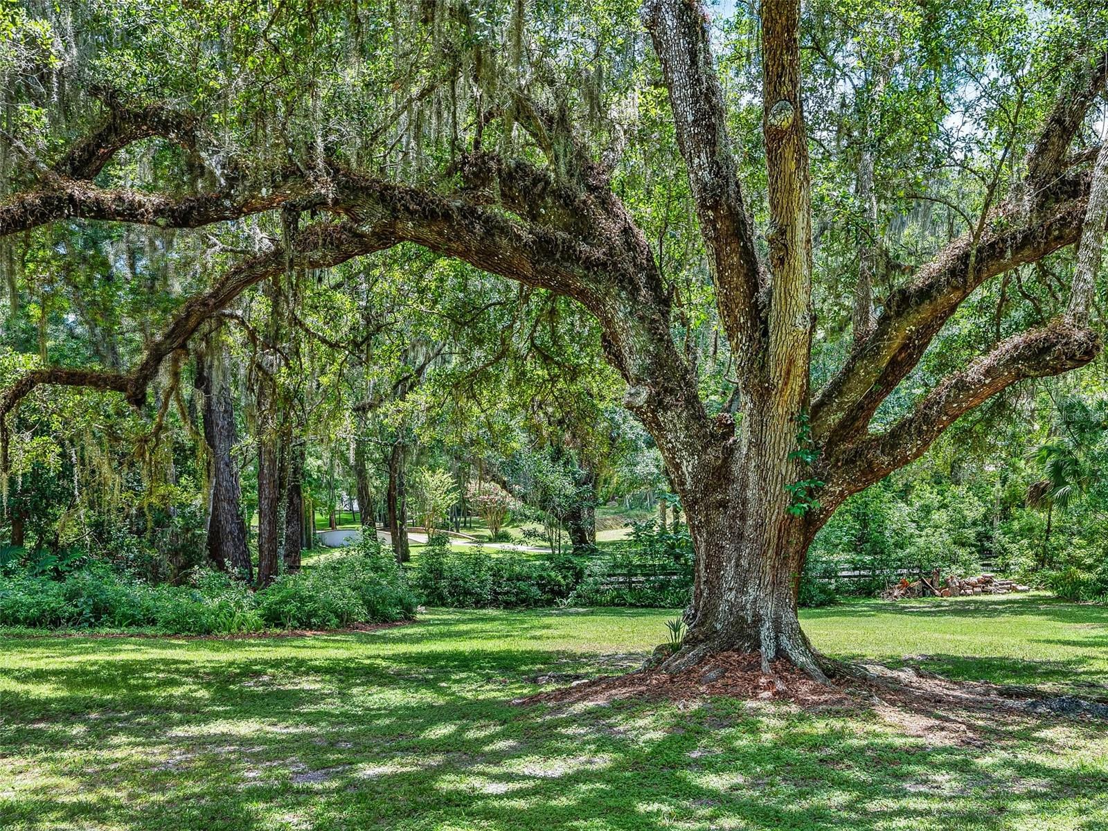 4200 SW 7TH AVE RD, OCALA, FL — photo 55