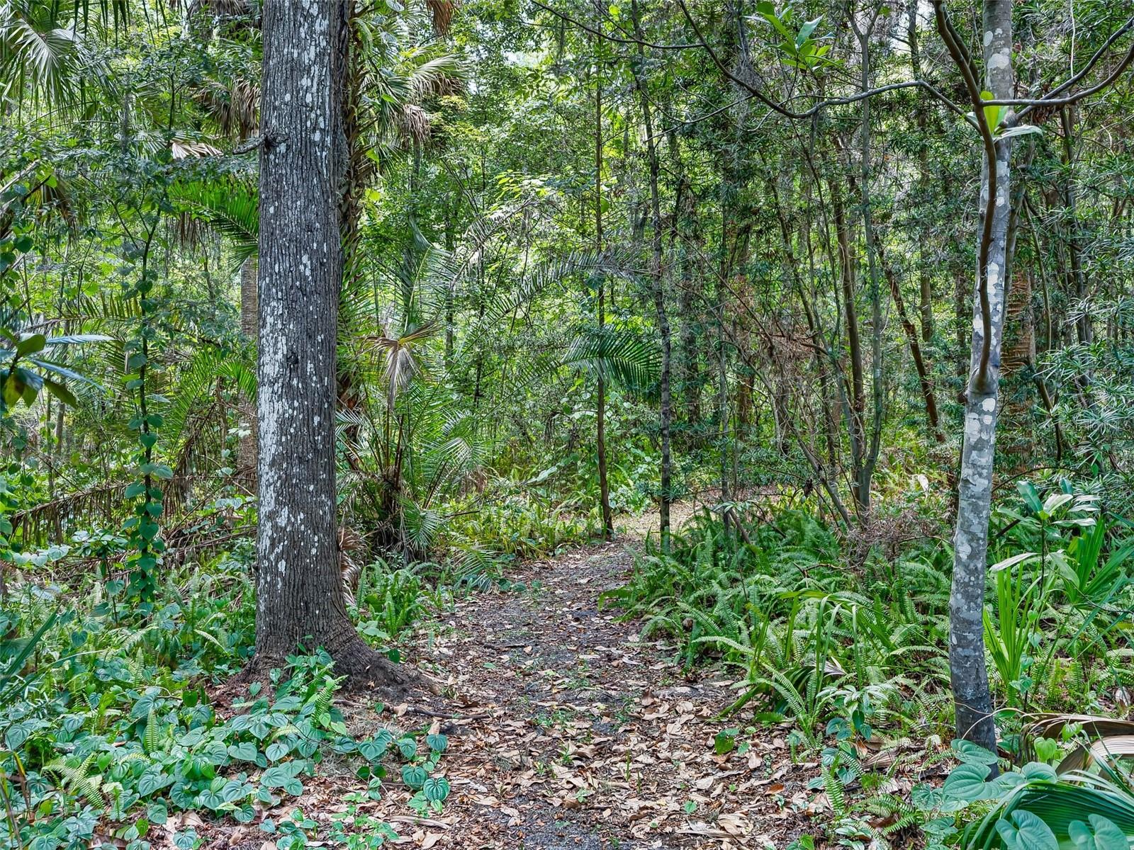 4200 SW 7TH AVE RD, OCALA, FL — photo 57