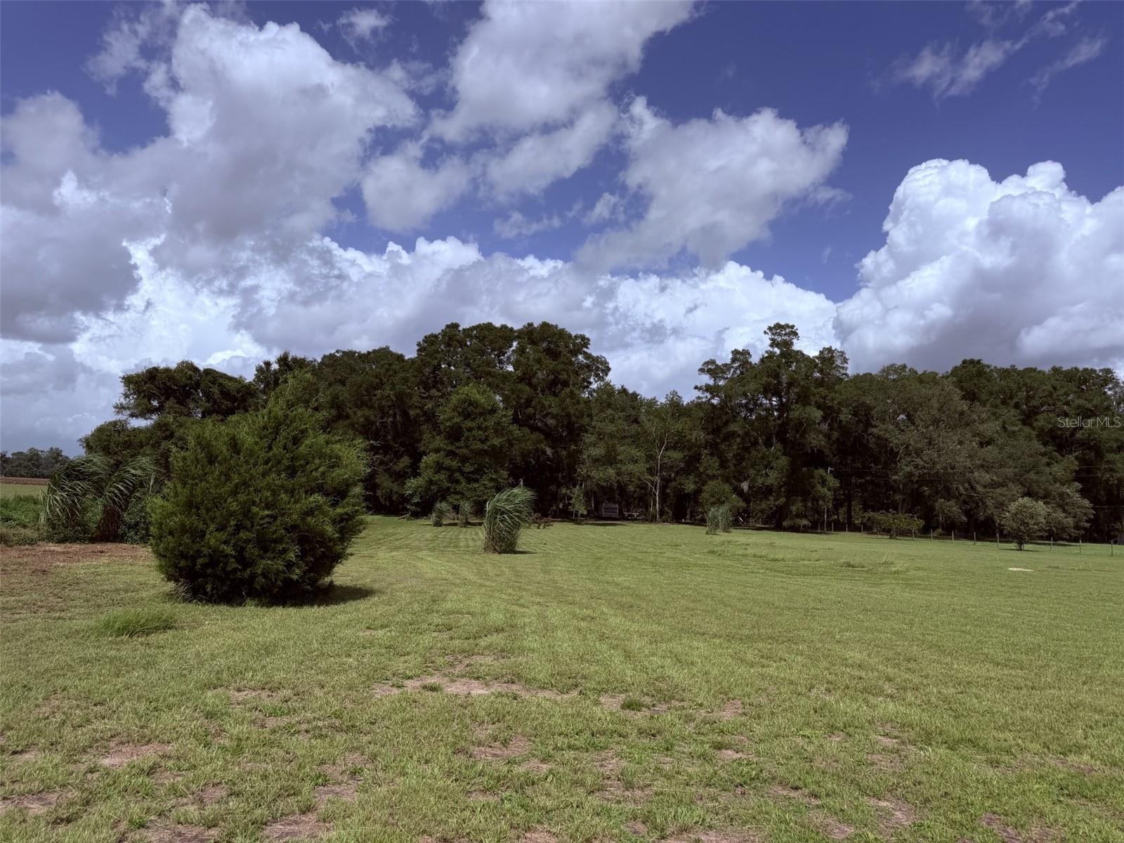 628 NE 816 AVE, OLD TOWN, FL — photo 21