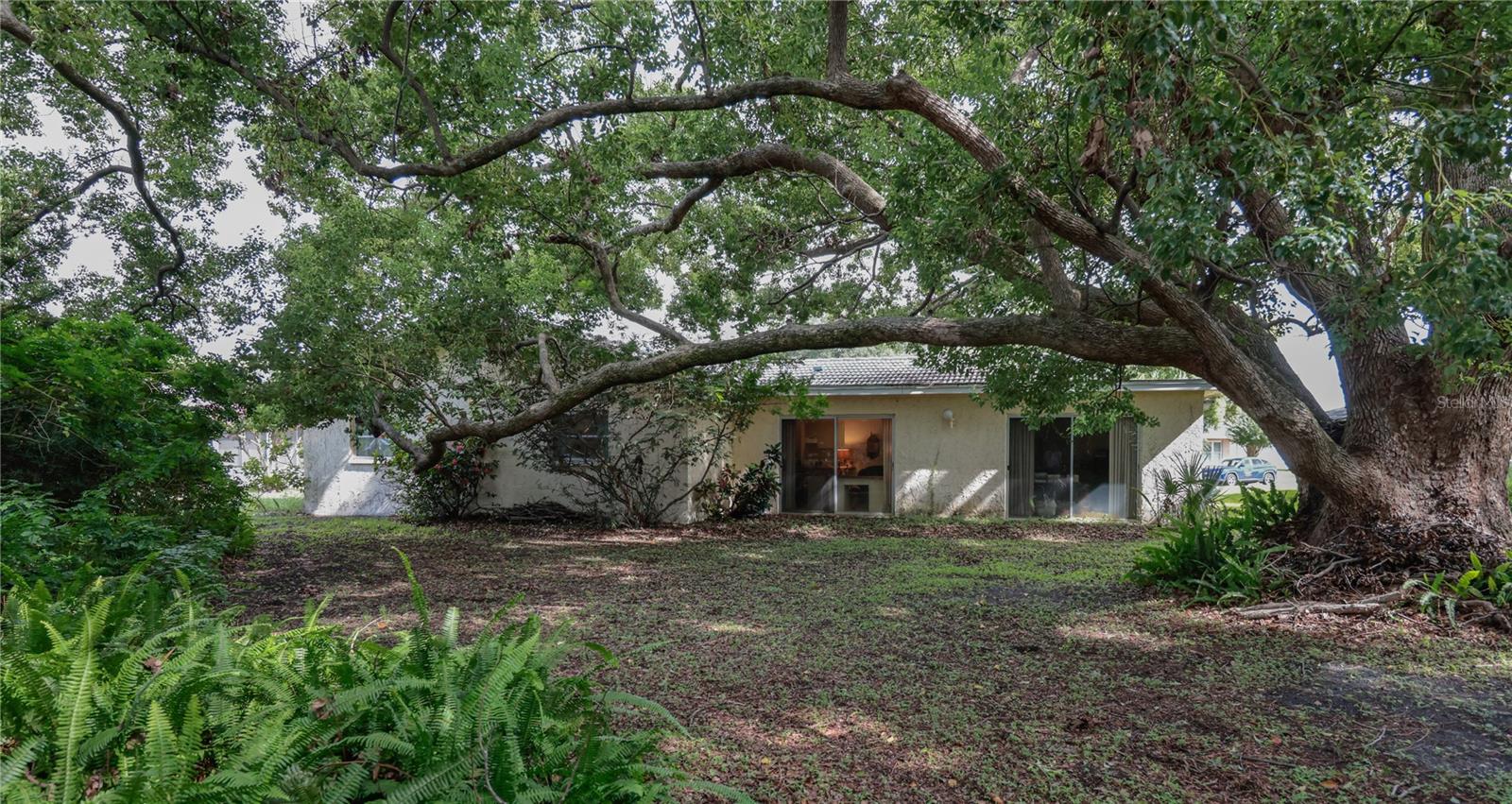 2132 PORTSIDE PSGE, PALM HARBOR, FL — photo 16
