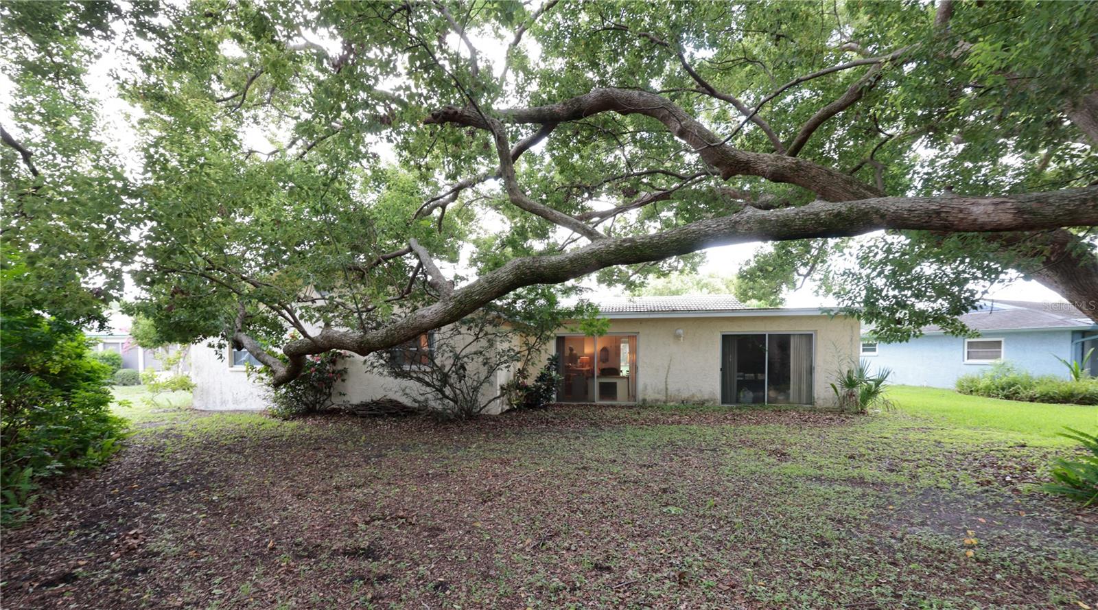 2132 PORTSIDE PSGE, PALM HARBOR, FL — photo 17