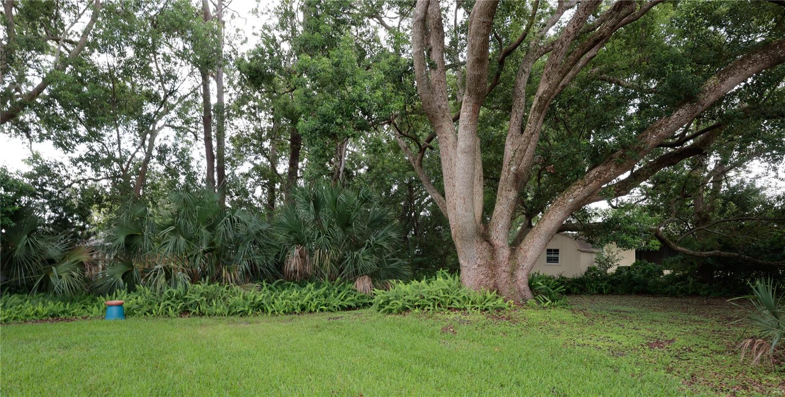 2132 PORTSIDE PSGE, PALM HARBOR, FL — photo 18