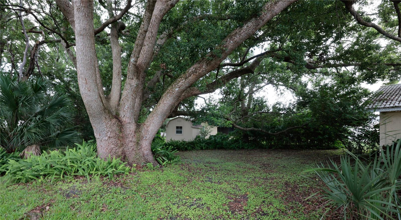 2132 PORTSIDE PSGE, PALM HARBOR, FL — photo 19