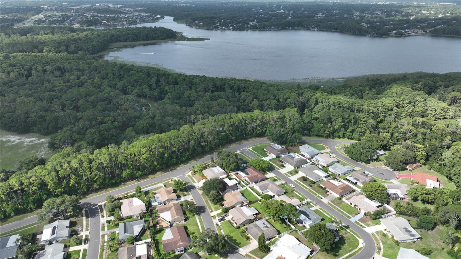 2132 PORTSIDE PSGE, PALM HARBOR, FL — photo 23