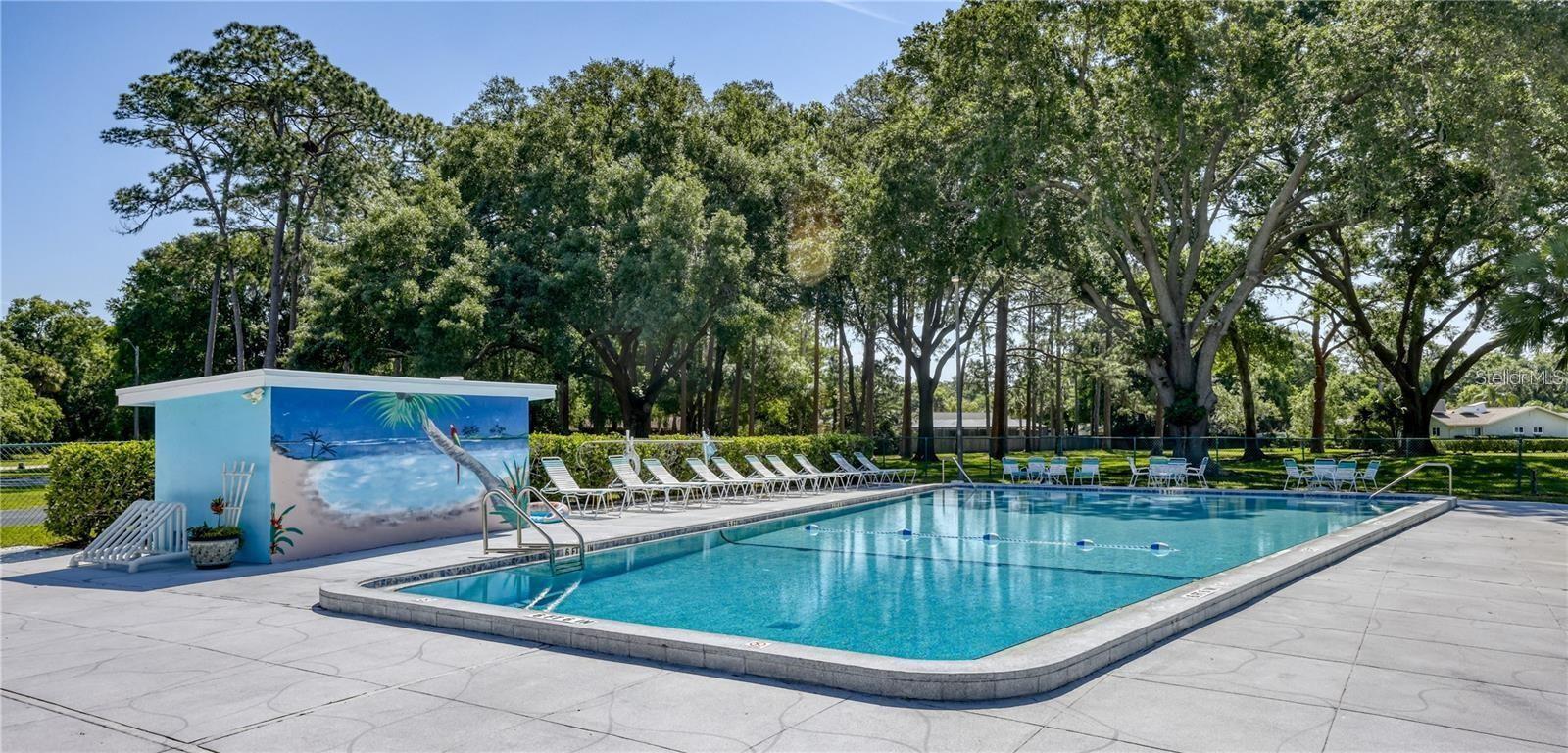 2132 PORTSIDE PSGE, PALM HARBOR, FL — photo 25