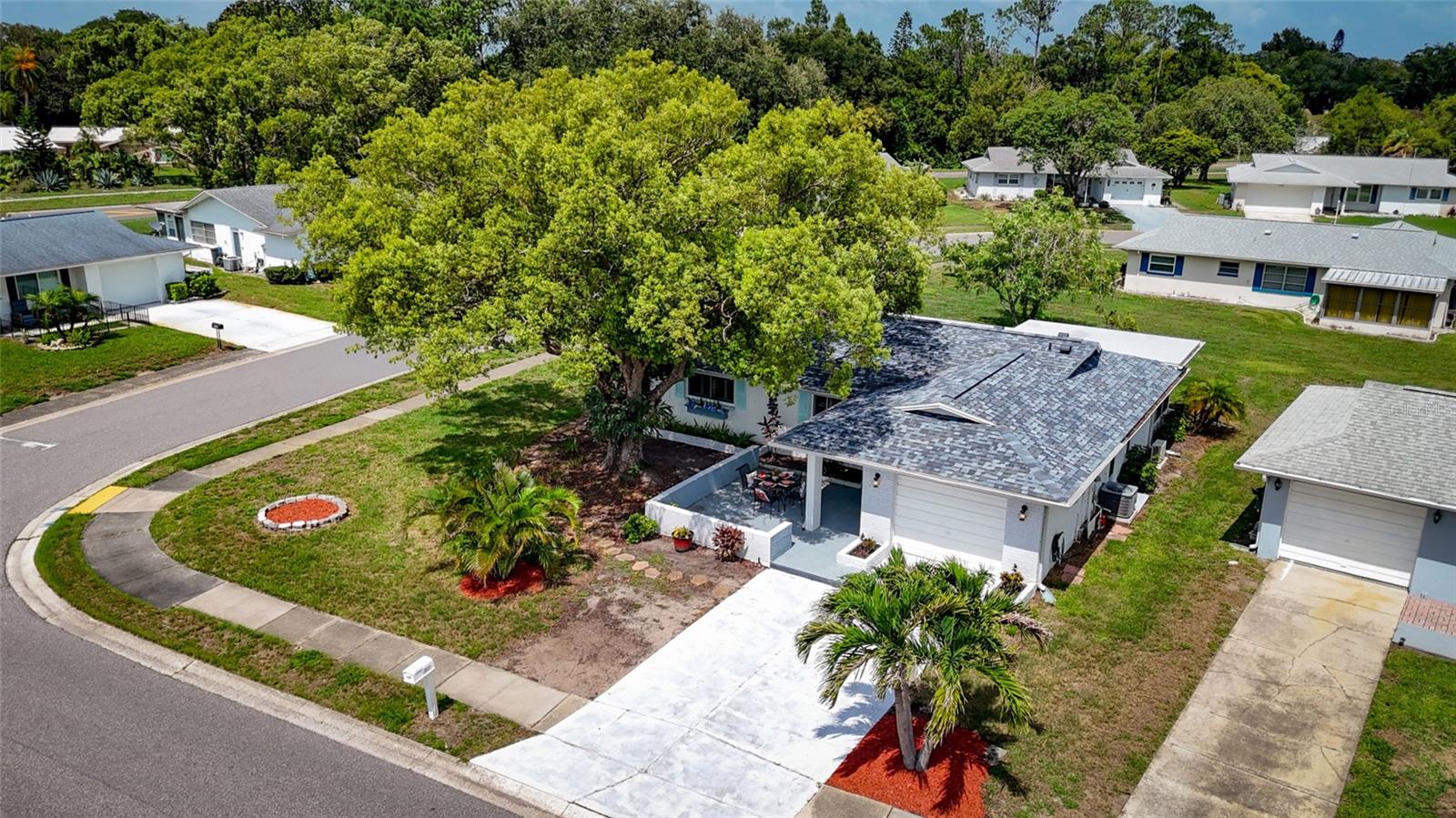 1496 QUEEN ANNE DR, PALM HARBOR, FL — photo 3