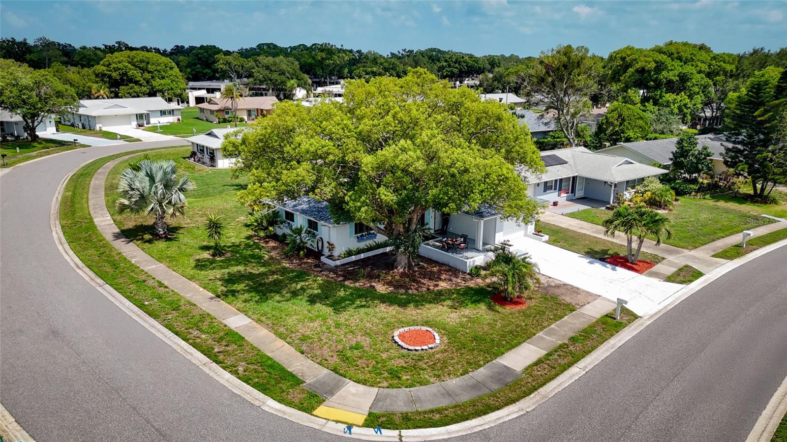 1496 QUEEN ANNE DR, PALM HARBOR, FL — photo 5